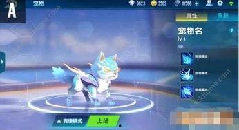 最新飞车宠物大爆料,神秘宠物来袭，激战一触即发！